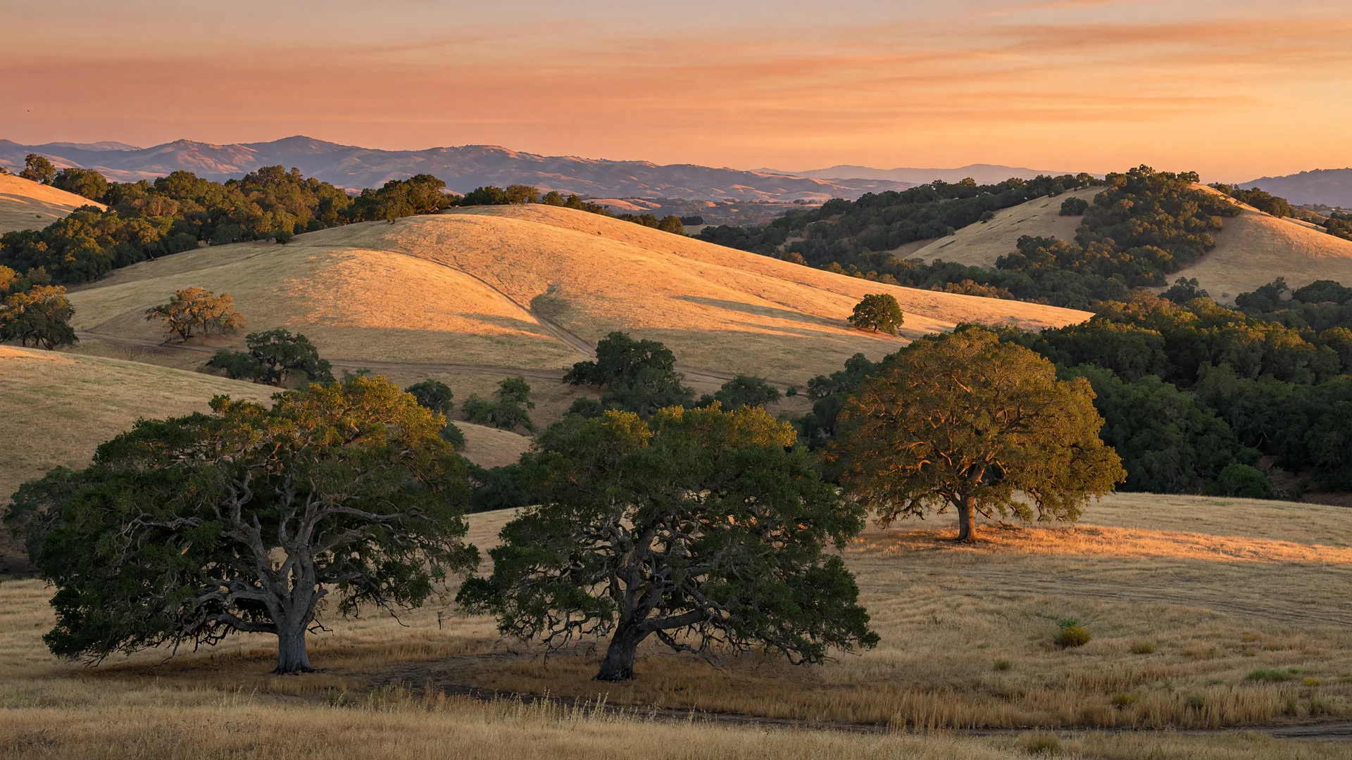 Sweeping vista of the Santa Rosa Plateau Ecological Reserve in Murrieta with golden hills, oak woodlands, and a warm sunset sky