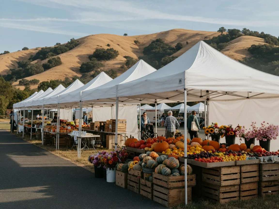 Produce stalls at a Saturday morning farmers market with crates of autumn squash and pumpkins and golden hills in the background