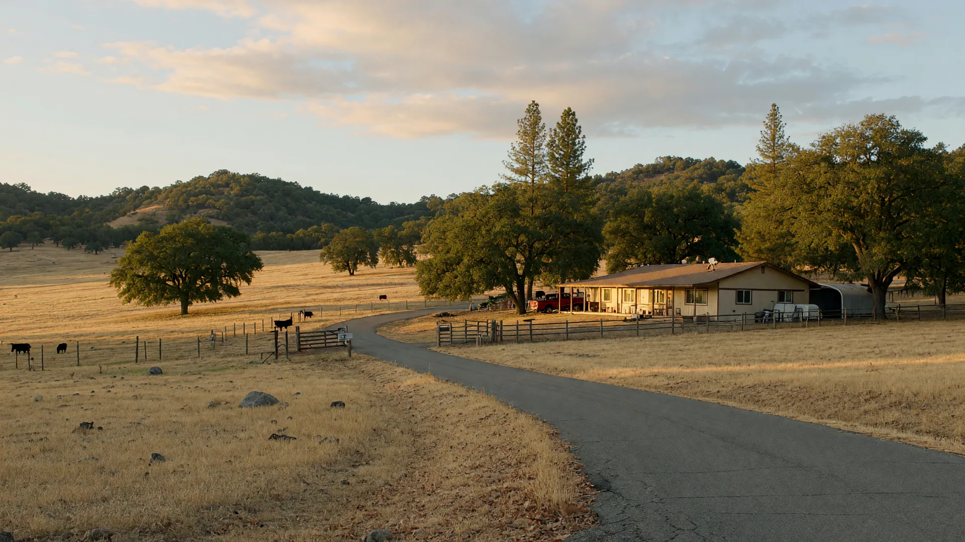 A country lane winding through oak-studded foothills near Diamond Springs, California