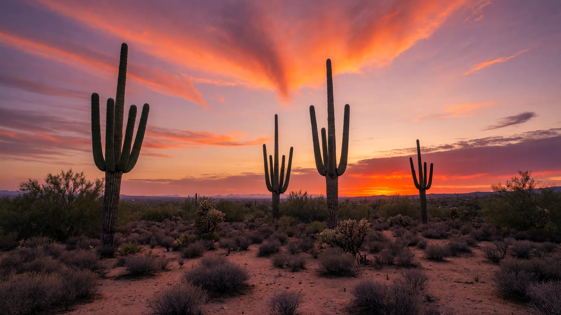 Arizona desert sunset landscape