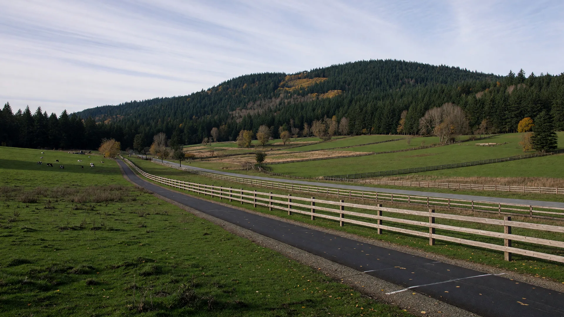 Is the Blenkinsop Valley a Good Place to Live in Saanich BC?