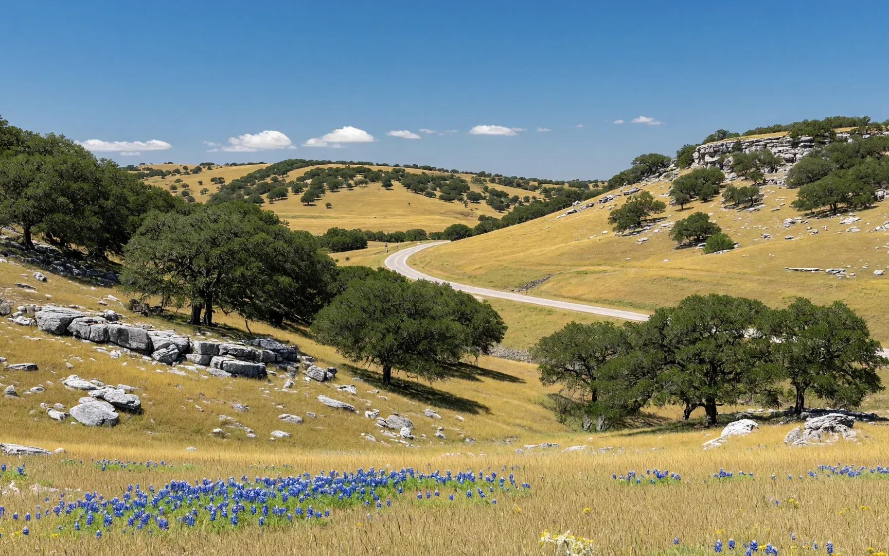 Rolling Hill Country grassland with live oaks and limestone outcroppings near Wimberley Texas