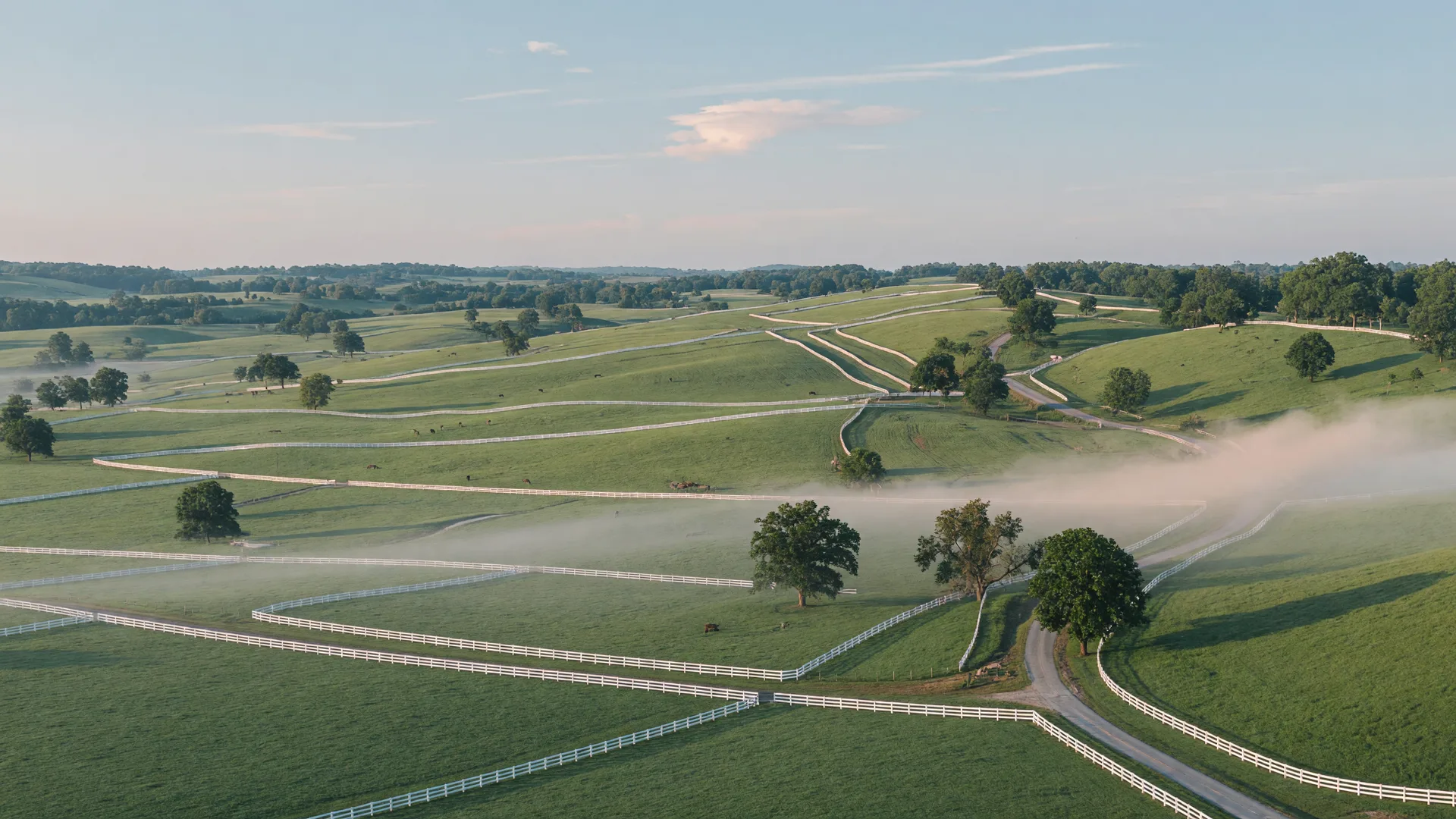 Vast rolling bluegrass pastures and white plank fencing across Central Kentucky countryside in morning light