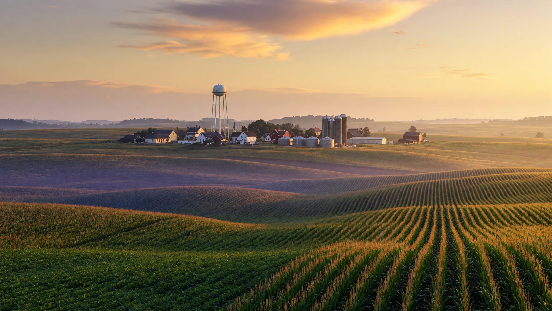 Living in Goodfield, Congerville & Secor, Illinois
