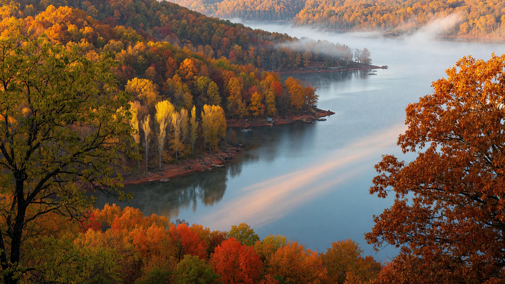 Peak autumn color on a Lake Hartwell shoreline, with gold and amber hardwood ridges descending to a calm lake and a low mist on the far shore