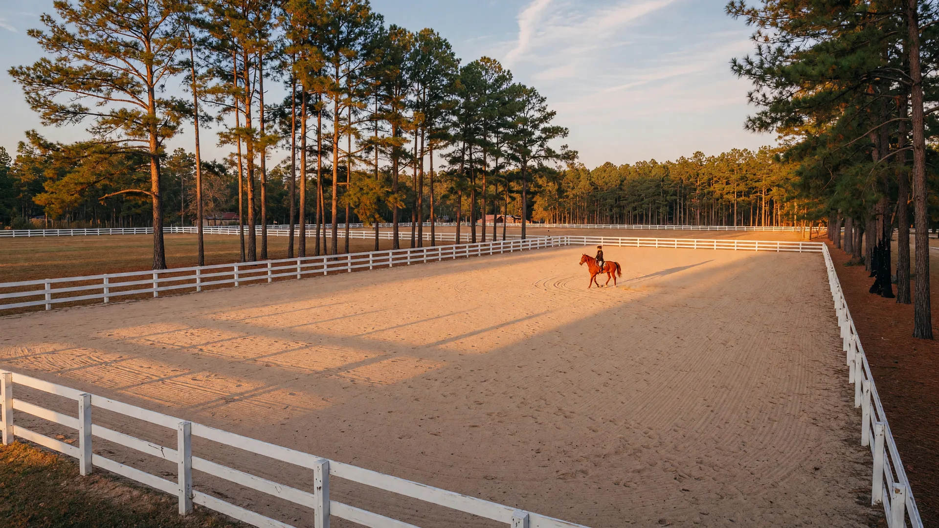 Photo: Finding a Riding Instructor in Aiken, SC: Lessons, Trainers, and Your First Season in Horse Country — Aiken SC horse property