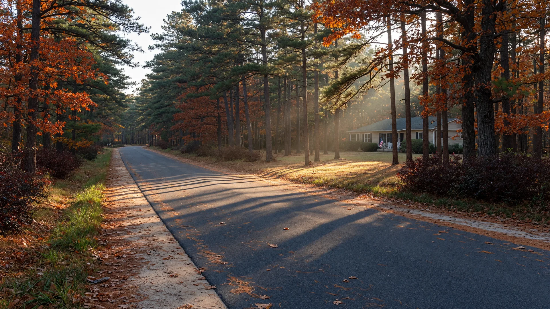 A quiet rural road winding through tall pines in the New Jersey Pine Barrens, the countryside setting that defines Mullica Township