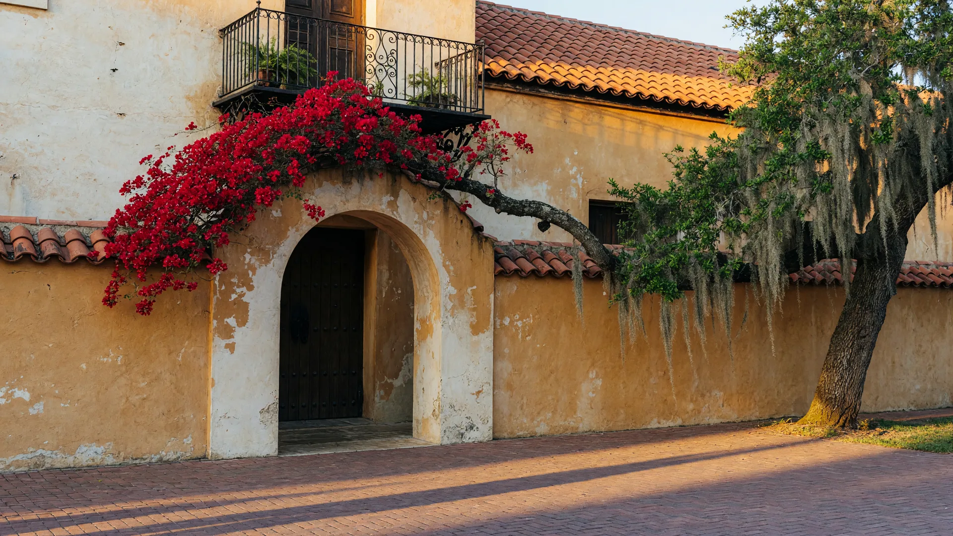 A Spanish-heritage scene in warm ochre and cream: an arched stucco doorway with a wrought-iron balcony, scarlet bougainvillea, and a moss-draped live oak in golden light.
