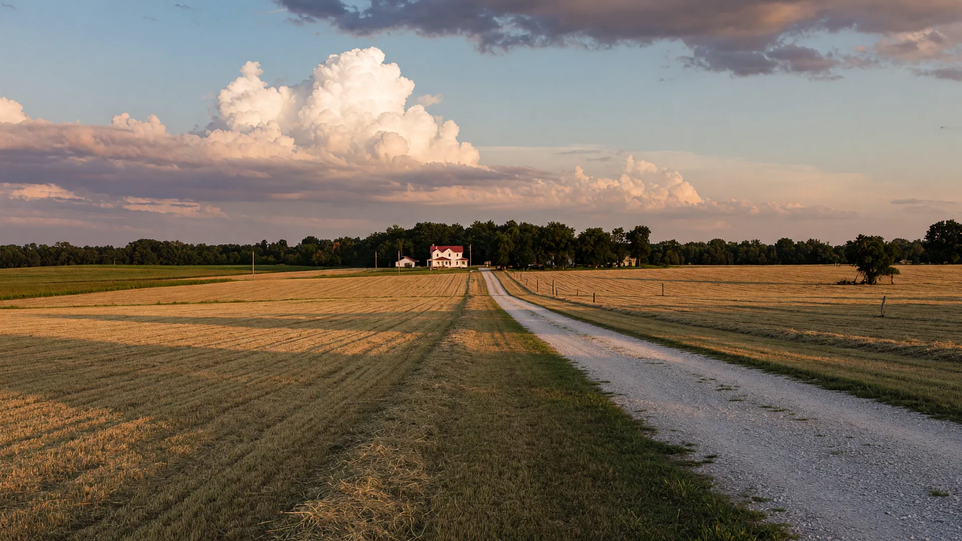Wide-open Warren County farmland with a gravel lane leading to a white farmhouse under a big Kentucky sky