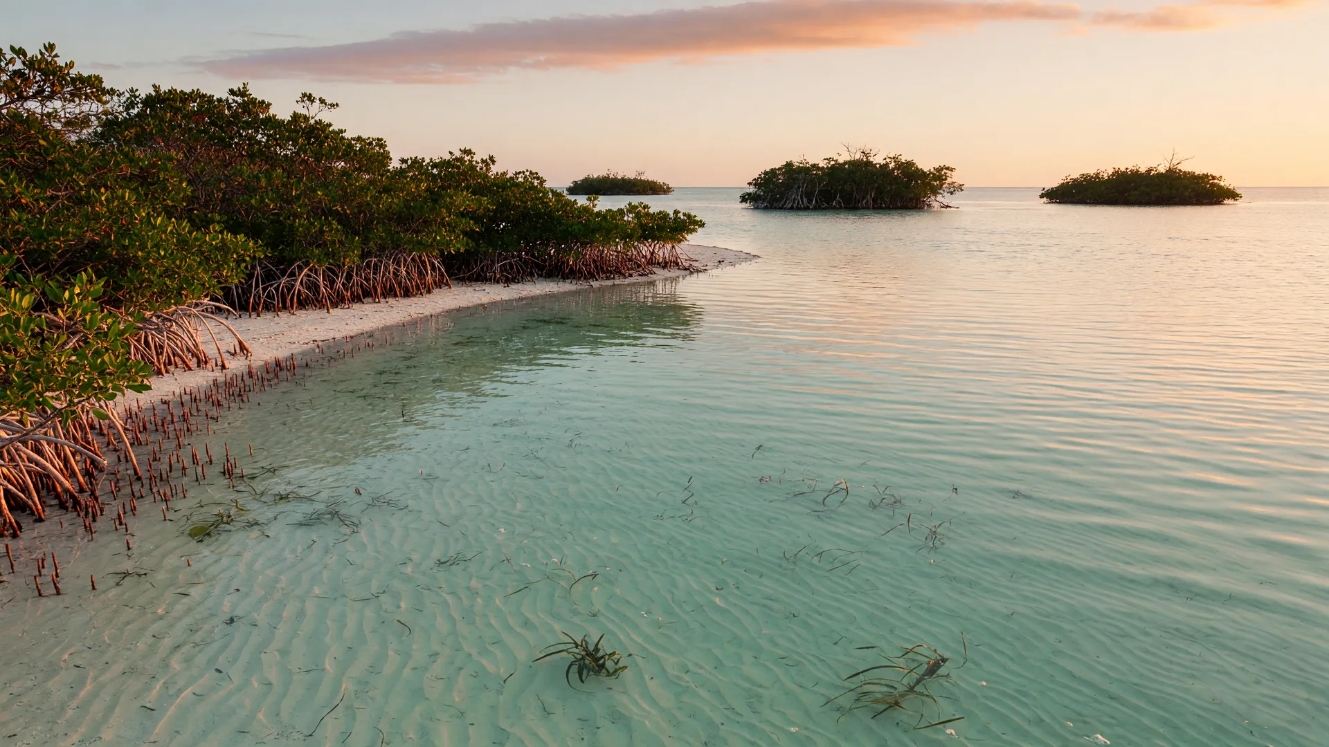 Big Pine Key, home to the National Key Deer Refuge