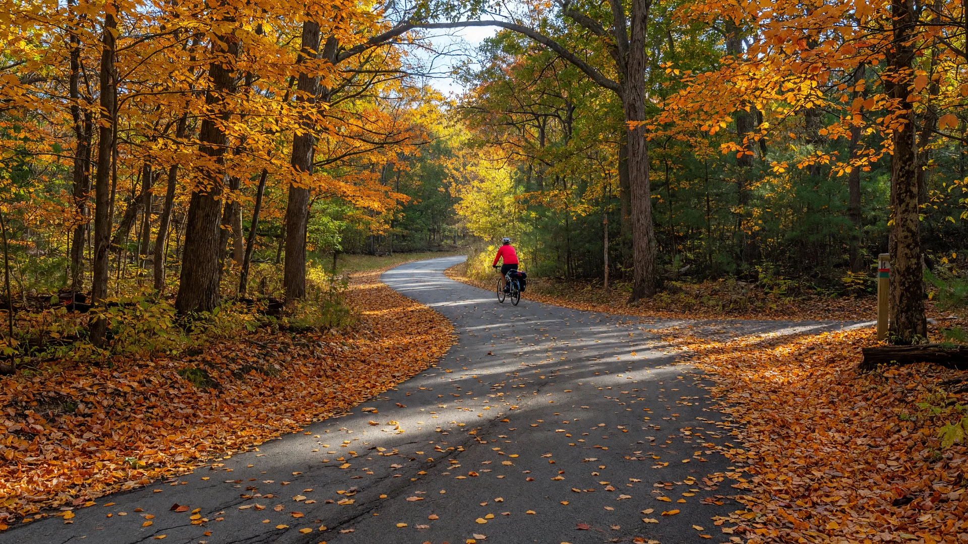 Paved Radnor Trail path winding through autumn woodland