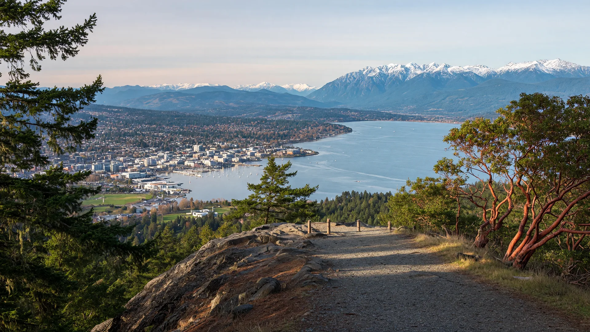 Is the Hike Up PKOLS (Mount Douglas) Hard? A Local's Guide