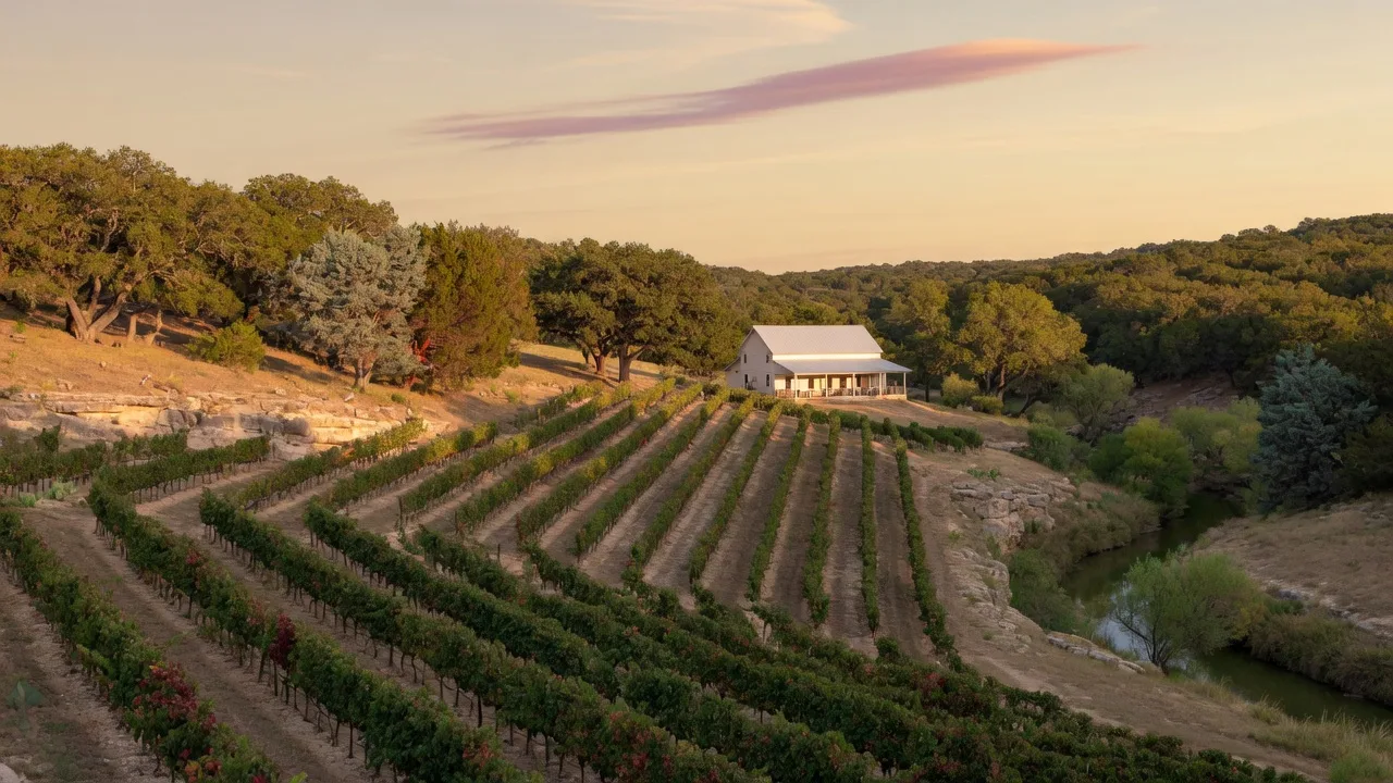 Texas Hill Country Wine Country: How It Compares to California