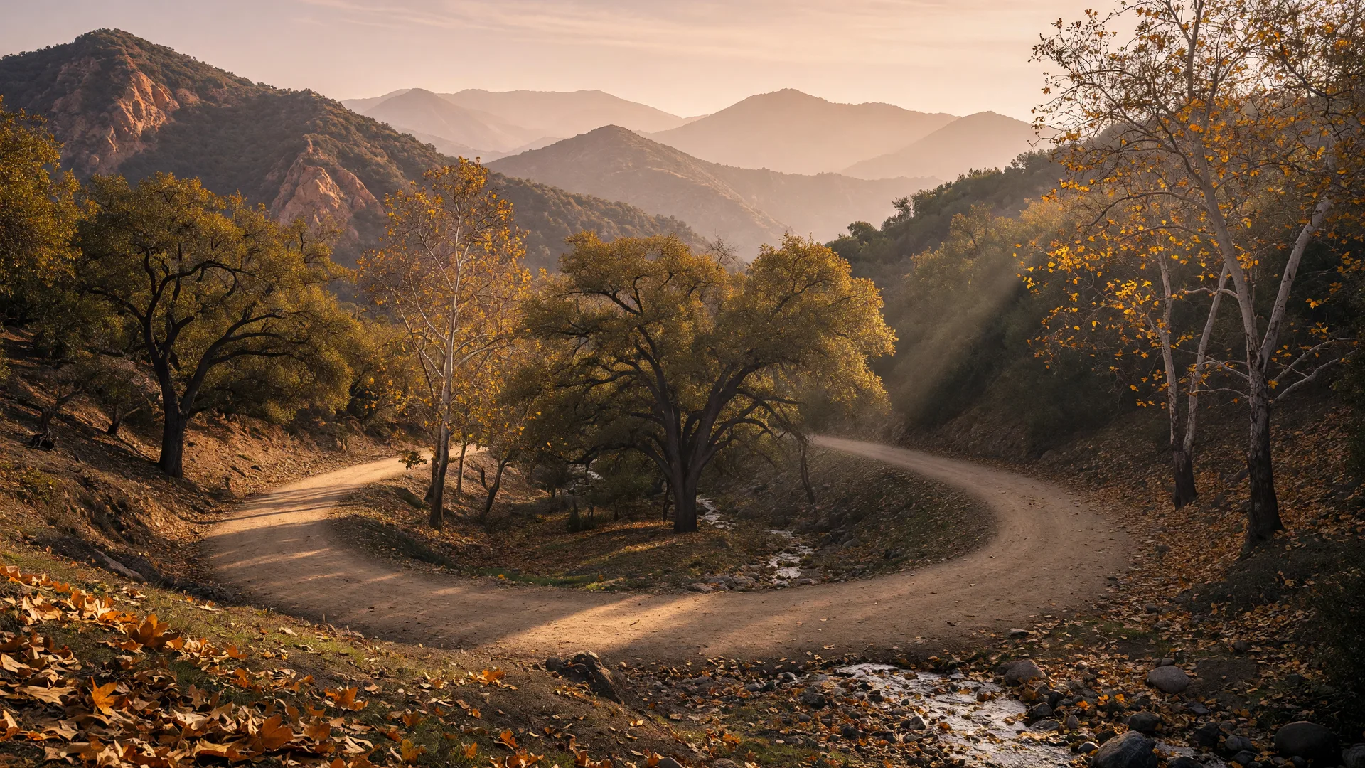A golden oak woodland canyon trail winding through sycamores and oaks with a seasonal creek in Ed Davis Park at Towsley Canyon