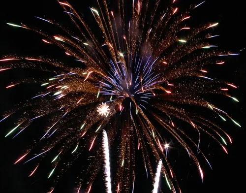 Multi-burst fireworks lighting up the twilight sky over a silhouetted treeline, with warm orange and red colors against deep blue