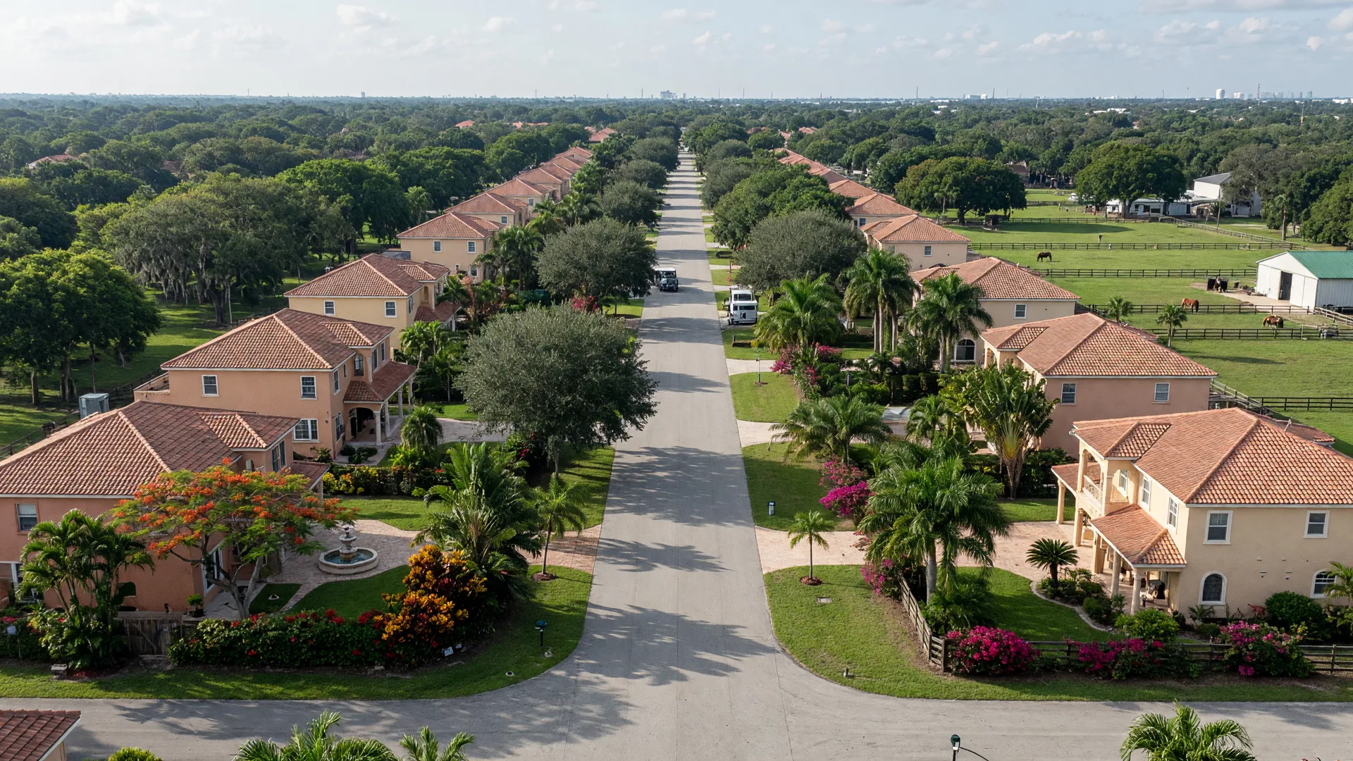A sunny residential street in Davie, Florida with tropical landscaping, Spanish-style homes, and wide streets