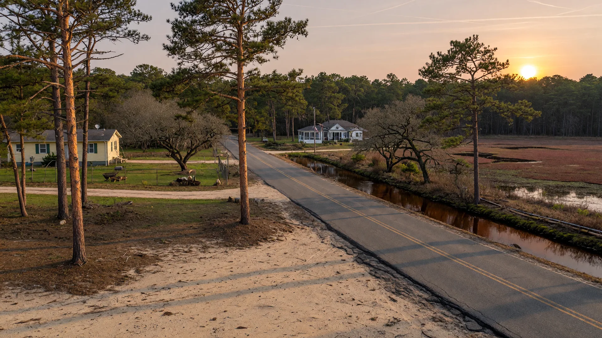 Quiet two-lane road winding through the Pine Barrens of Bass River Township with tall pines, cranberry bogs, and a peaceful creek in the distance