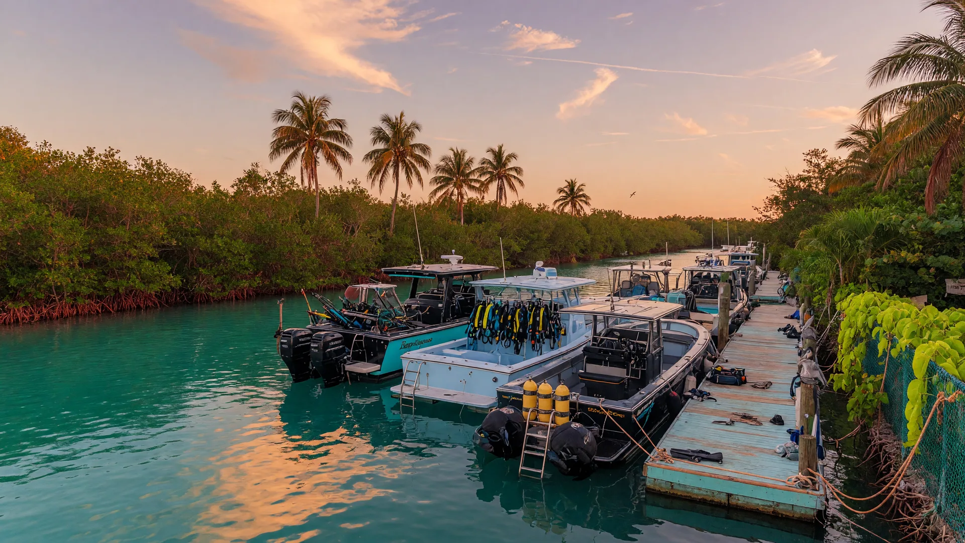 Rainbow Reef Dive Center dive boats moored along the Port Largo Canal in Key Largo at golden hour with turquoise water and tropical vegetation