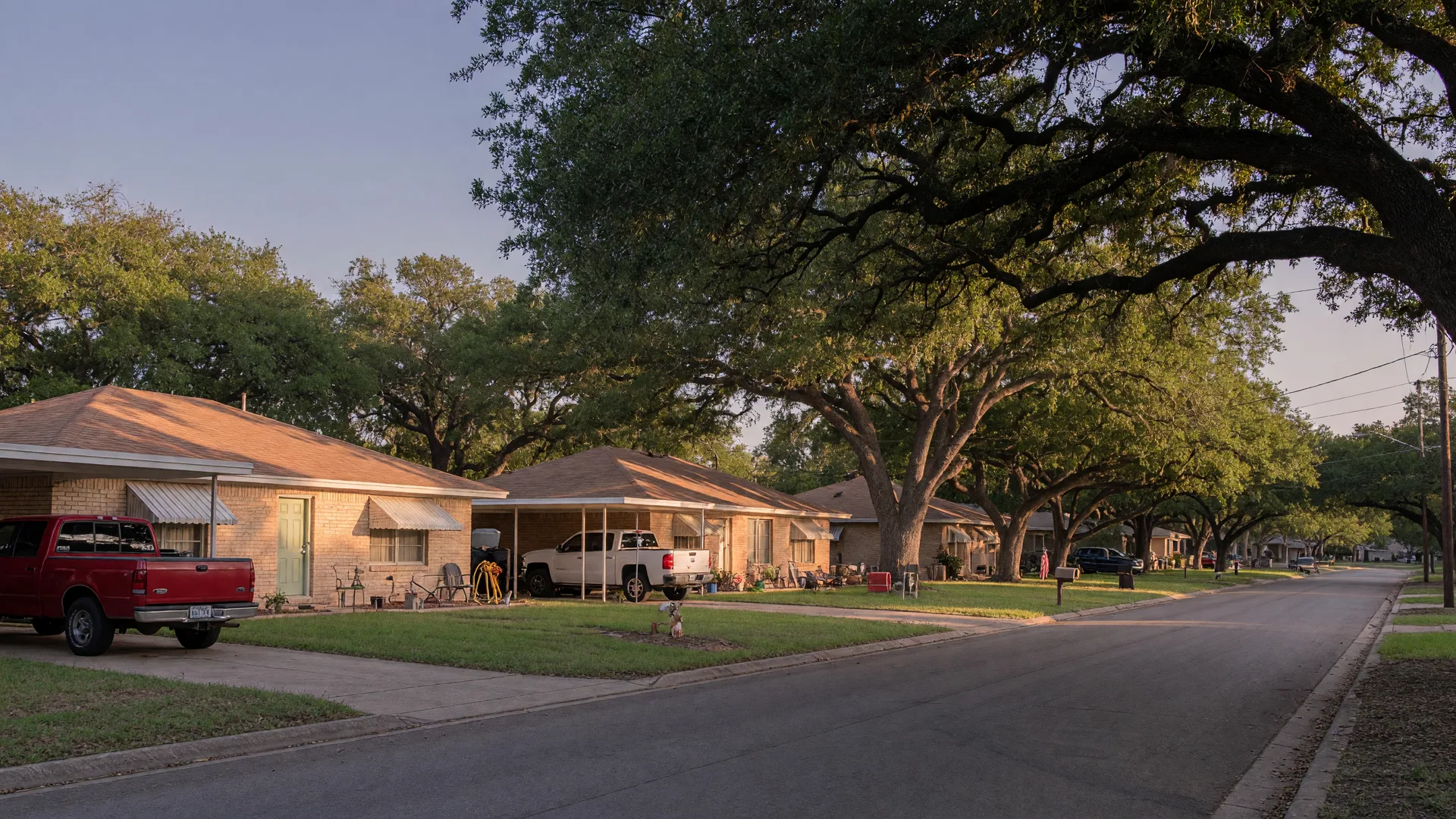 An oak-lined street of tan brick ranch homes in Pleasanton, Texas at late afternoon, in the home inspection service area of Rodeo Home Inspections