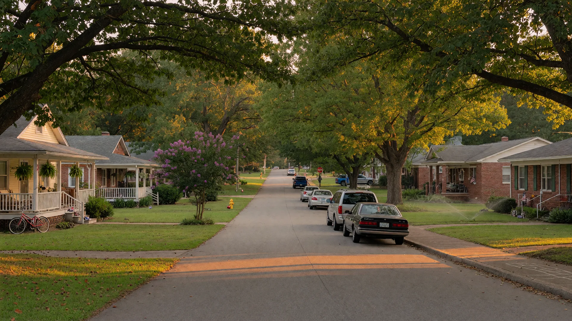 Tree-lined suburban street in Irmo, South Carolina with arching oaks and well-kept homes in warm golden hour light