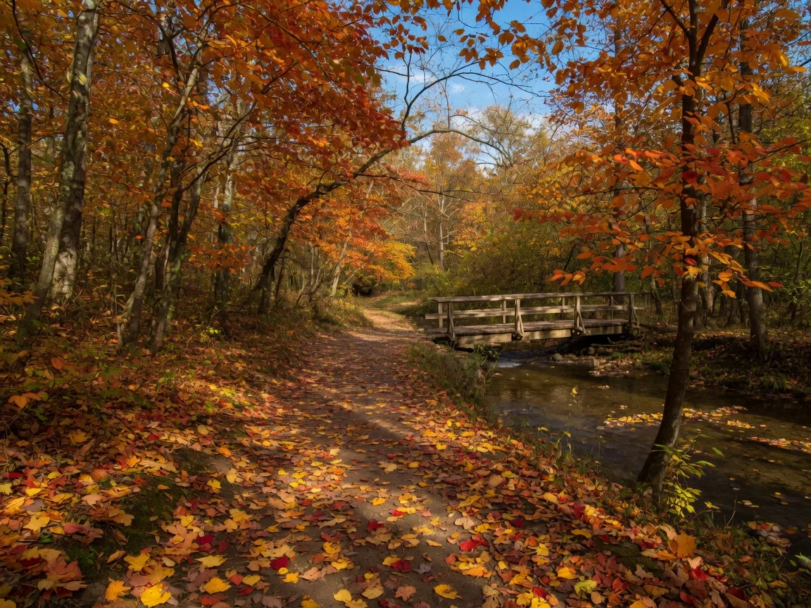 Autumn walking trail with fallen leaves and a small wooden footbridge in a Lorain County nature preserve near Avon, Ohio in warm late-afternoon light