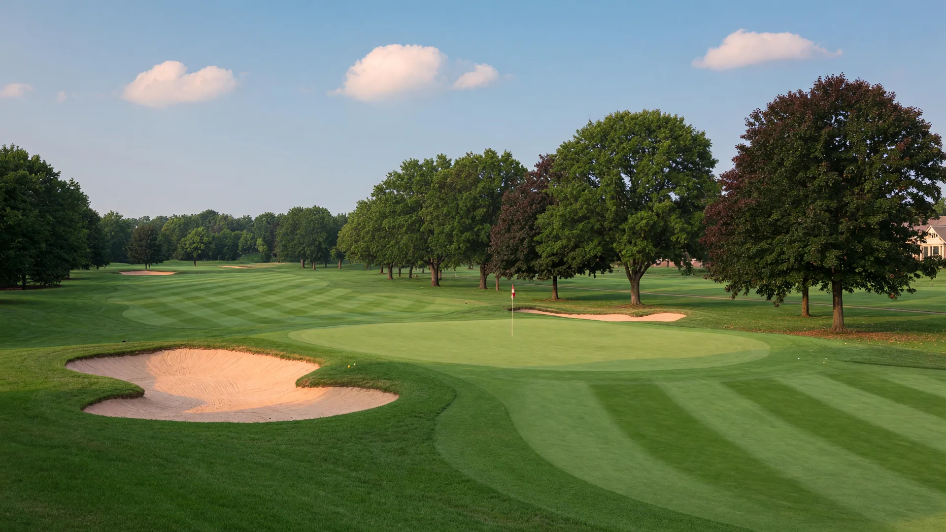 A tree-lined public golf course fairway in the South Suburbs