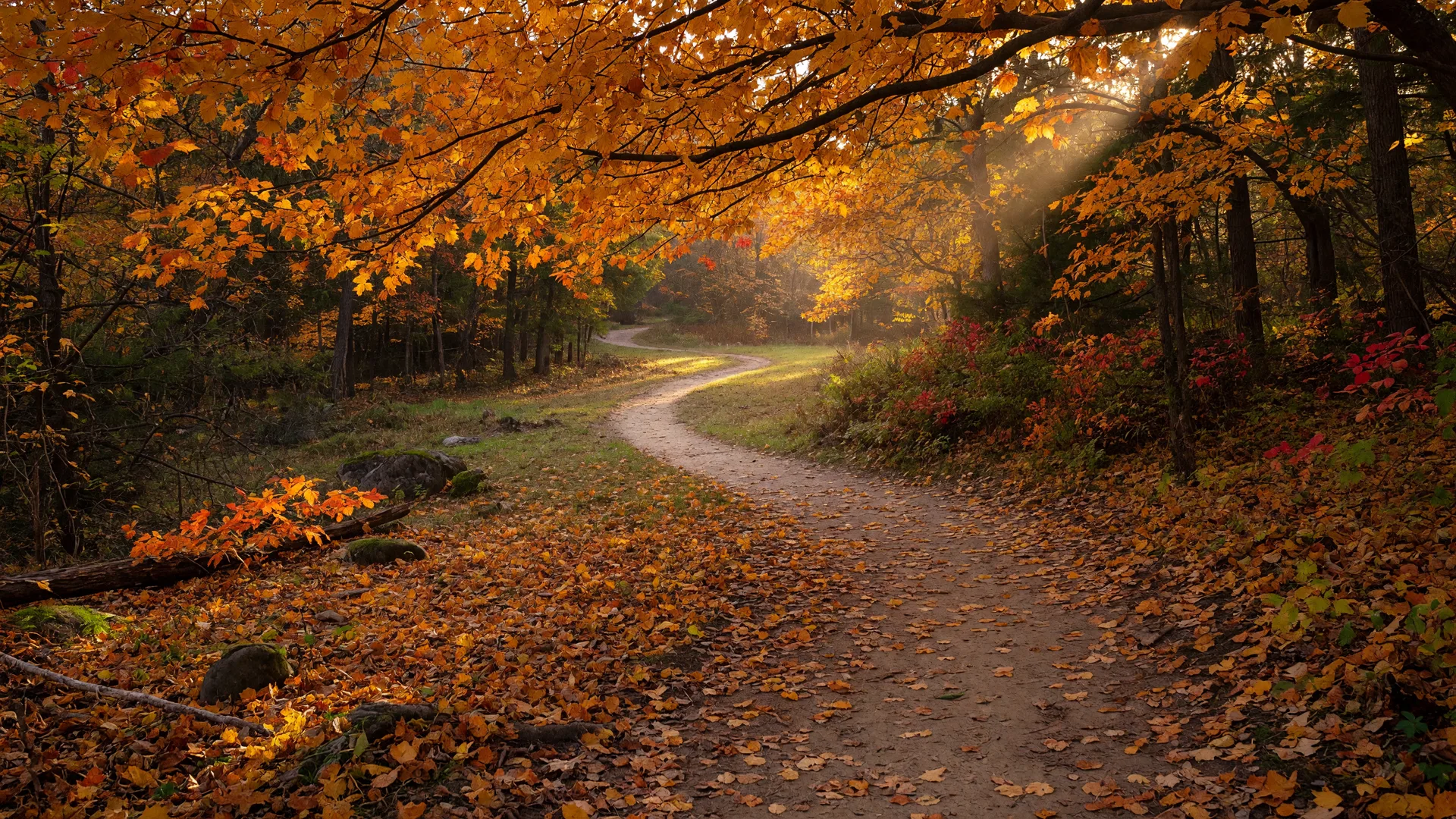 Best Fall Hikes Near Kirtland: Holden Arboretum and Lake MetroParks Trails
