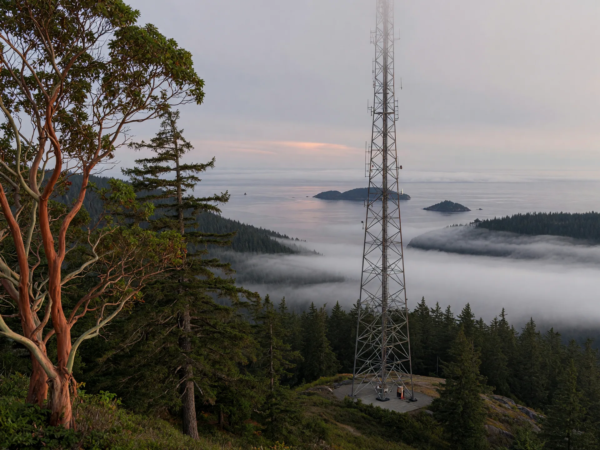 A telecommunications tower on a forested hillside above the Pacific coast of southern Vancouver Island, low fog in the valley below