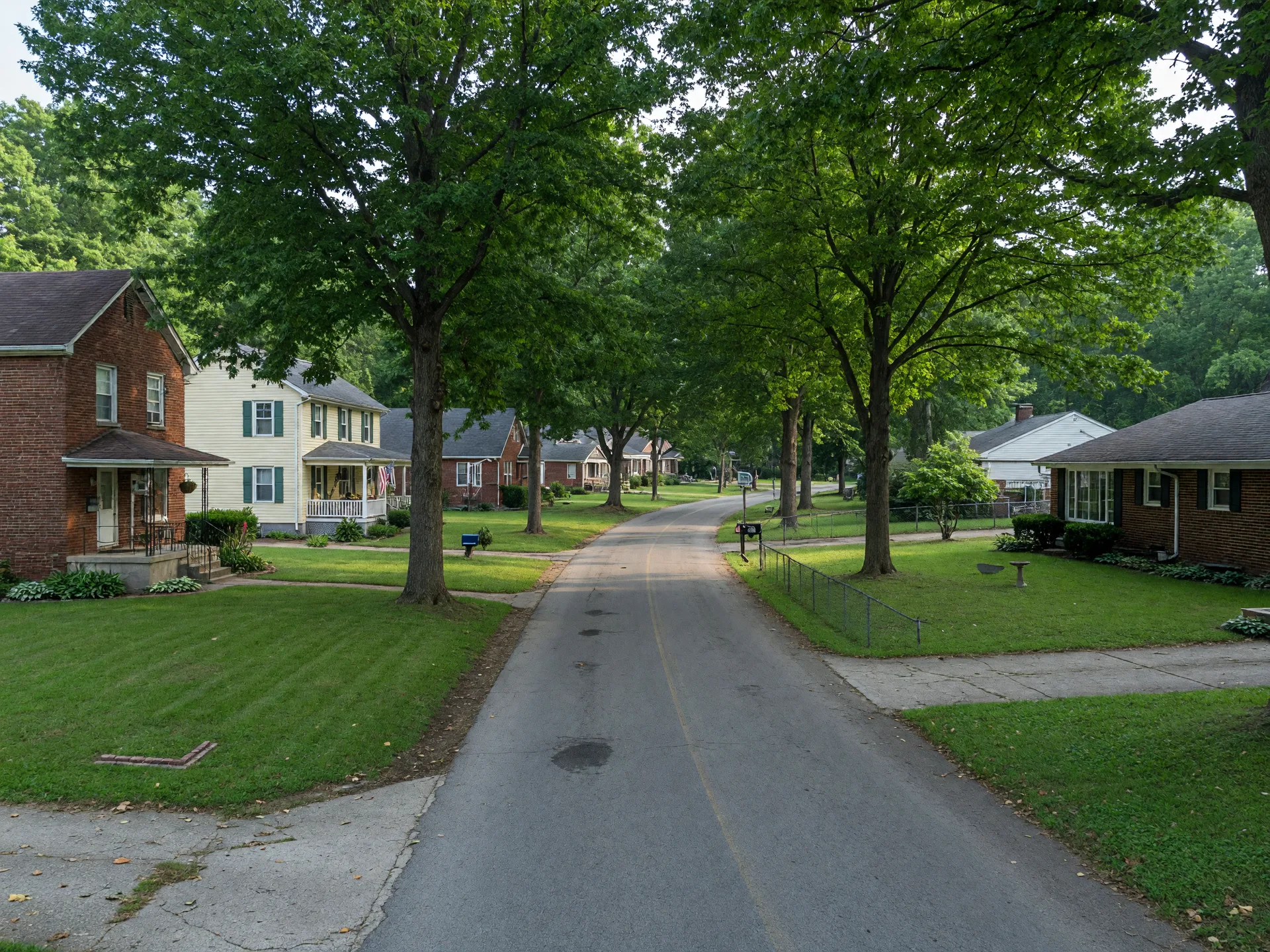 A mature tree-lined residential street with tall oaks arching over the road and established brick homes on wide lawns