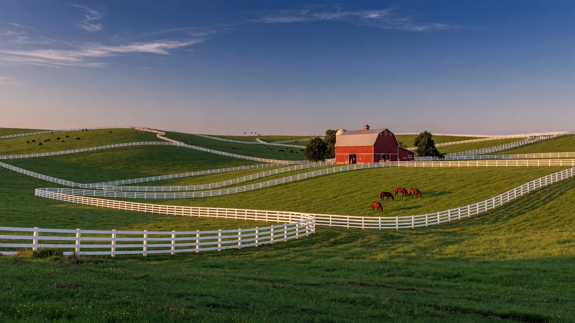 Rolling bluegrass horse farmland with white board fences near Bowling Green, Kentucky in late-afternoon light