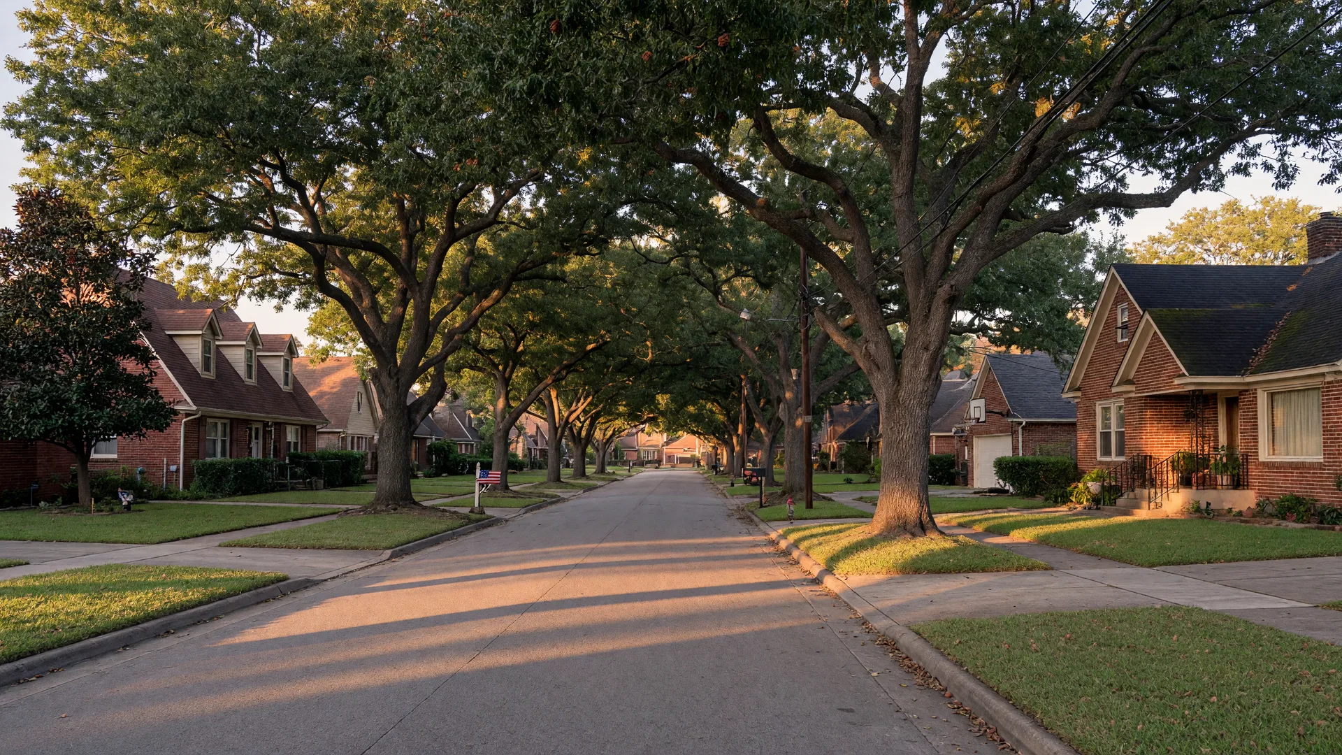 A quiet tree-lined residential street in Greater Houston at golden hour
