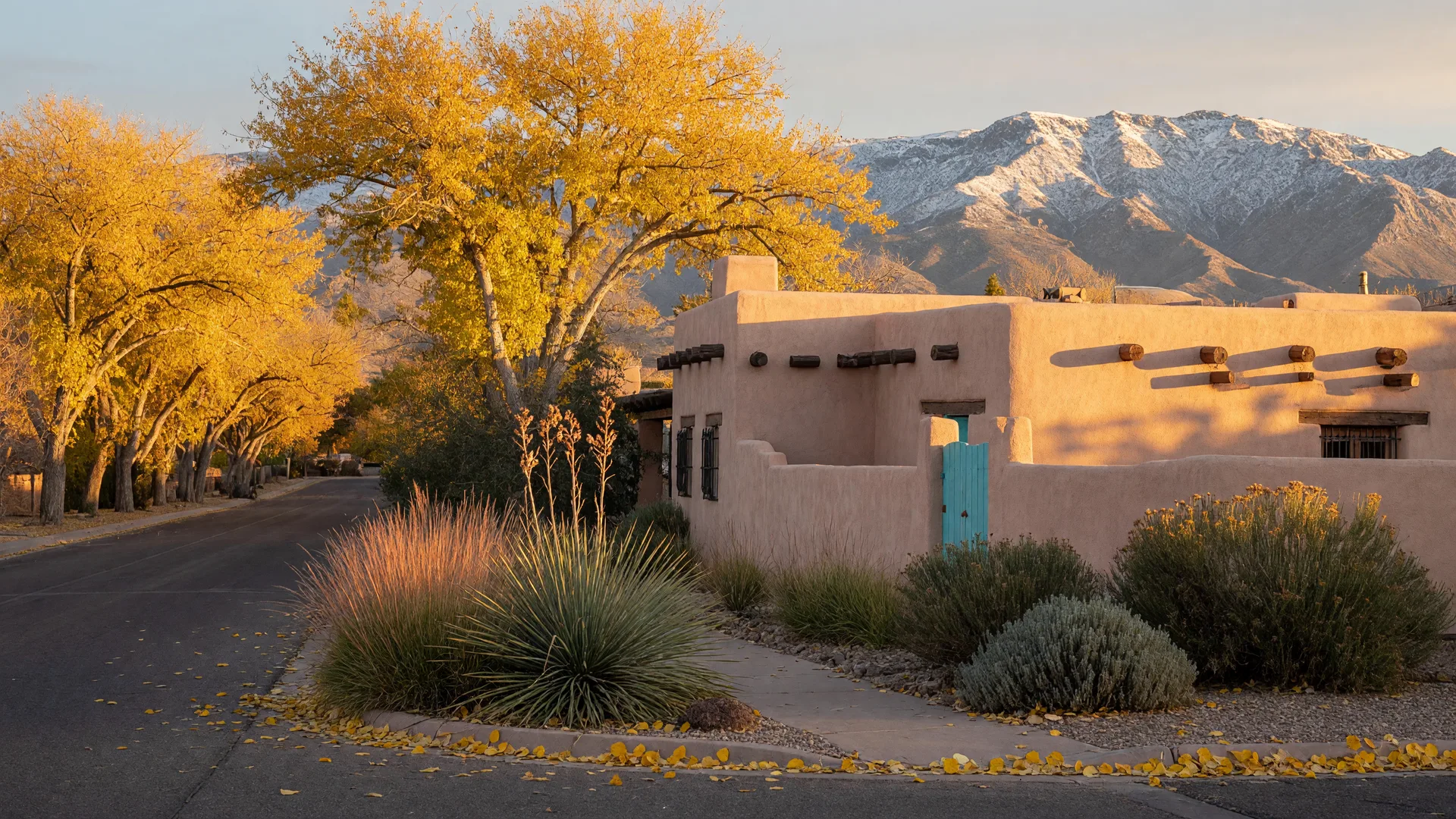Golden cottonwoods lining a quiet Albuquerque street in late October, warm autumn light on a curved stucco adobe-style home with vigas and desert landscaping, and snow-dusted Sandia Mountains rising behind
