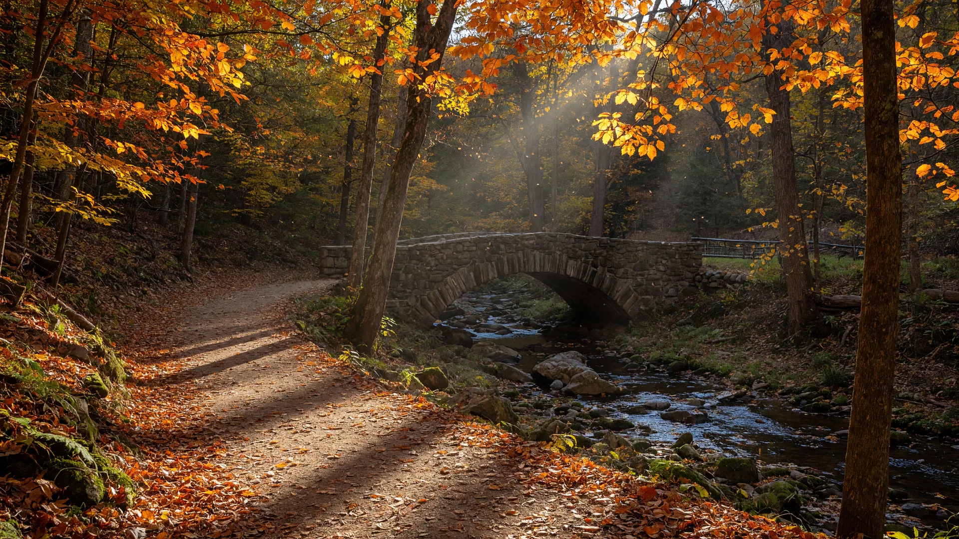 Mt. Airy Schools, Parks, and Community Life