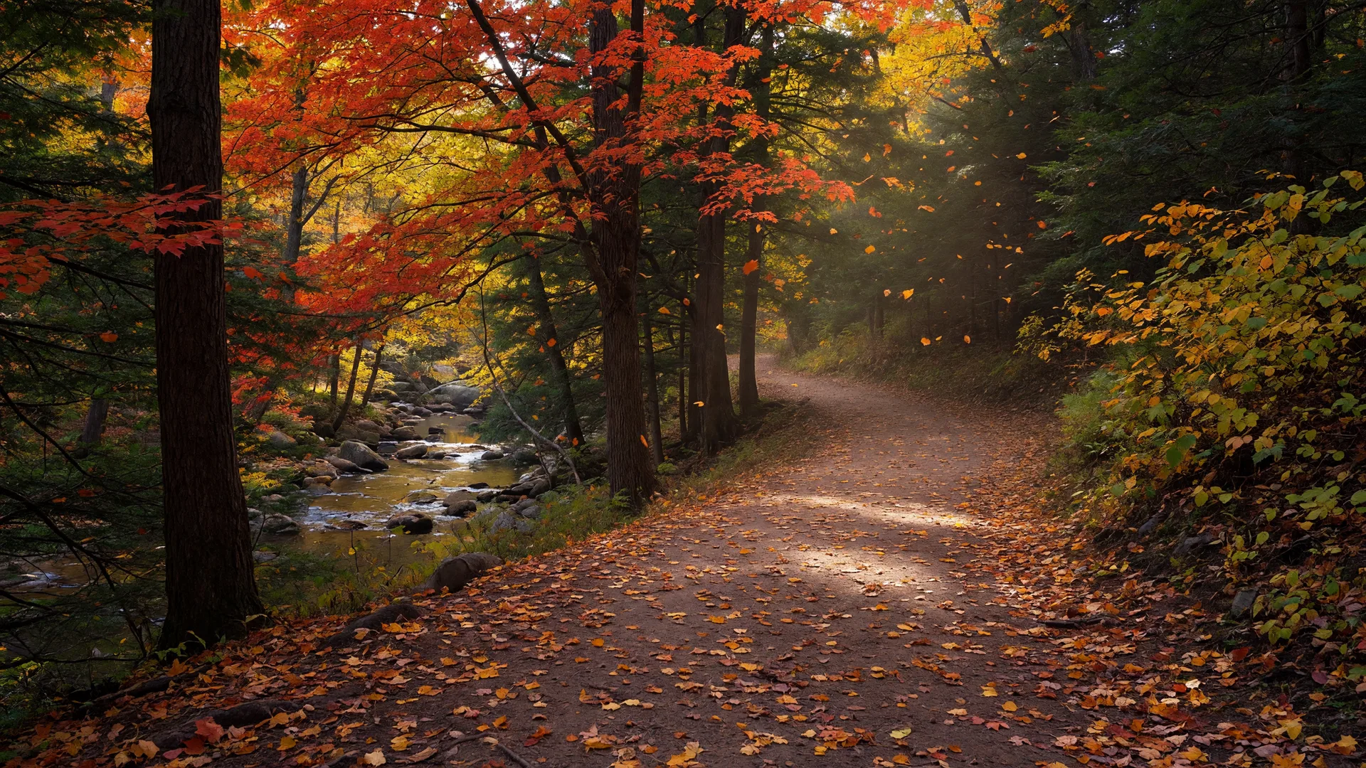 Wide forest trail through an old-growth eastern Pennsylvania woodland in mid-October, the path carpeted with gold and orange leaves under mature oaks, maples, and hemlocks in fall color