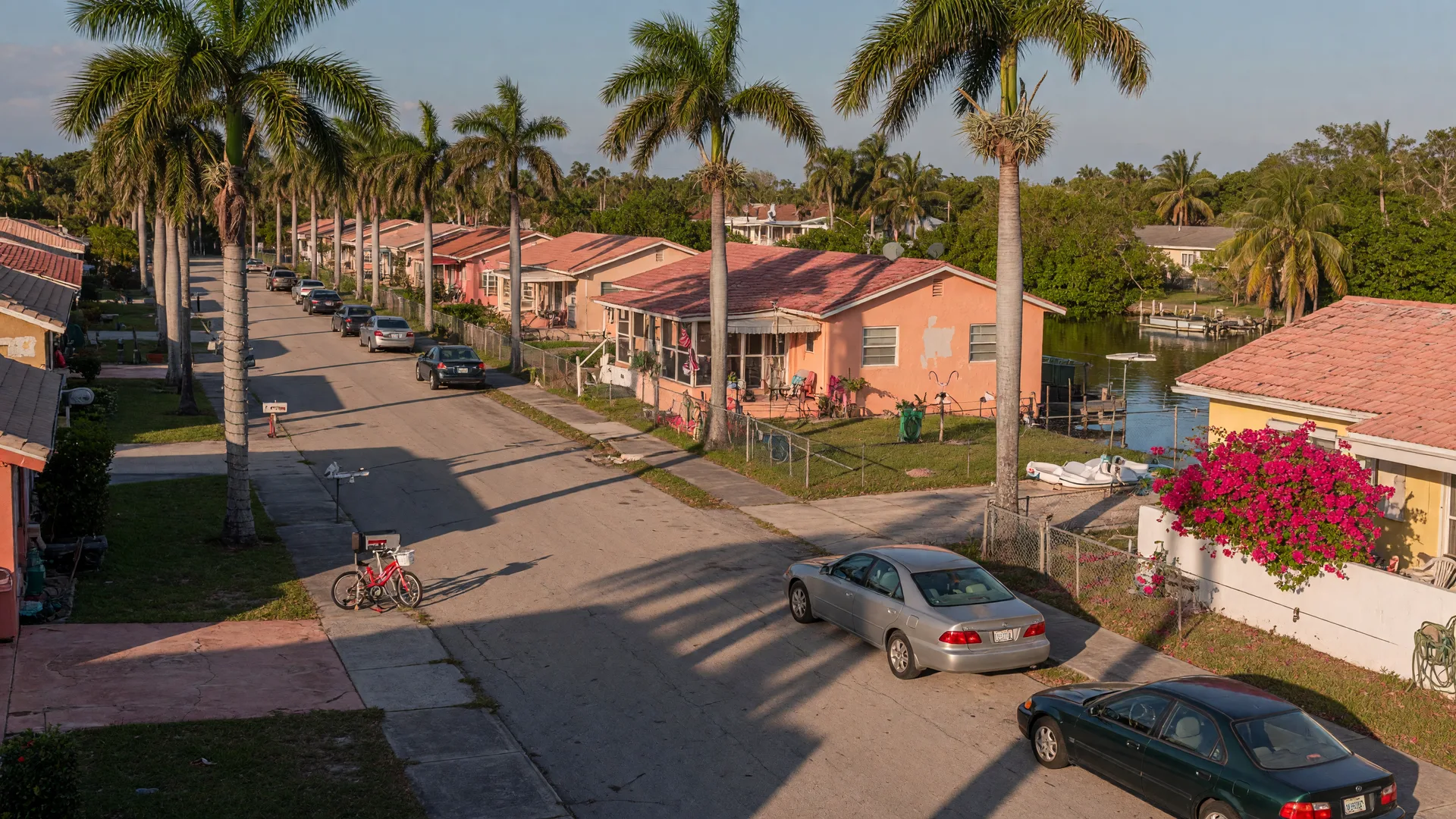 Tree-lined residential street in coastal South Florida with stucco homes and palm trees in golden afternoon light