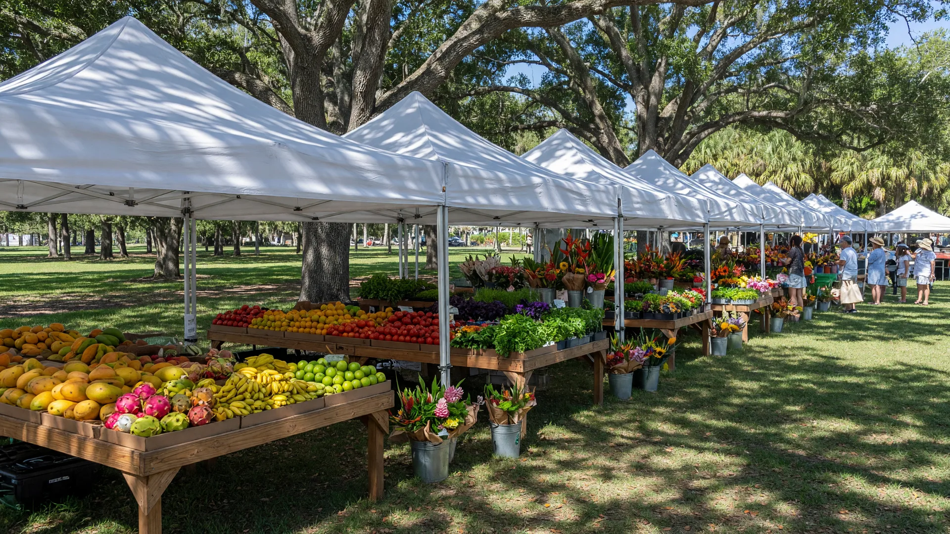 Header image for "A Movie Night at Bayfront Park Sets the Lawn Next to the Bay"