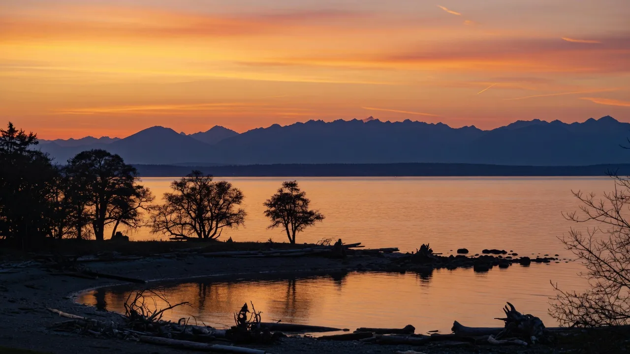 What Are the Best Dog-Friendly Spots to Watch the Sunset in Greater Victoria?