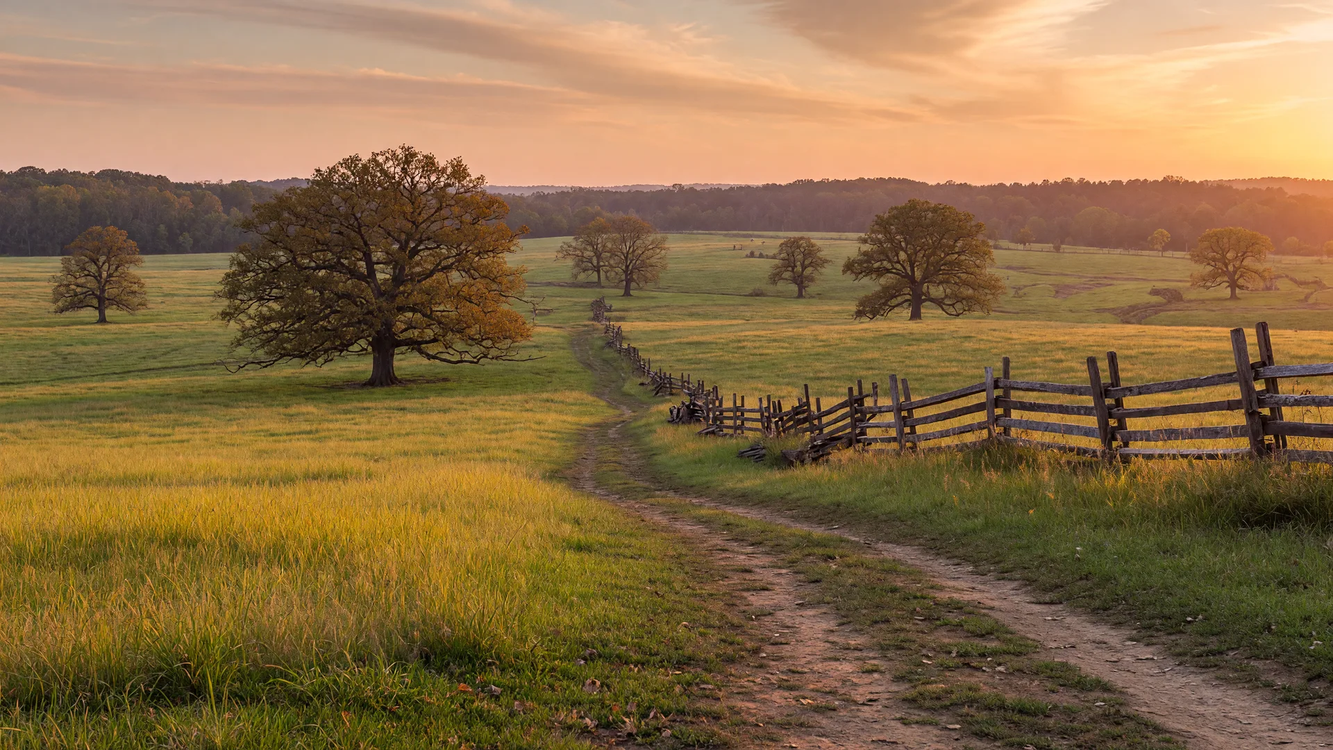 Best Dog-Friendly Hiking Trails in Manassas & Manassas Park, VA