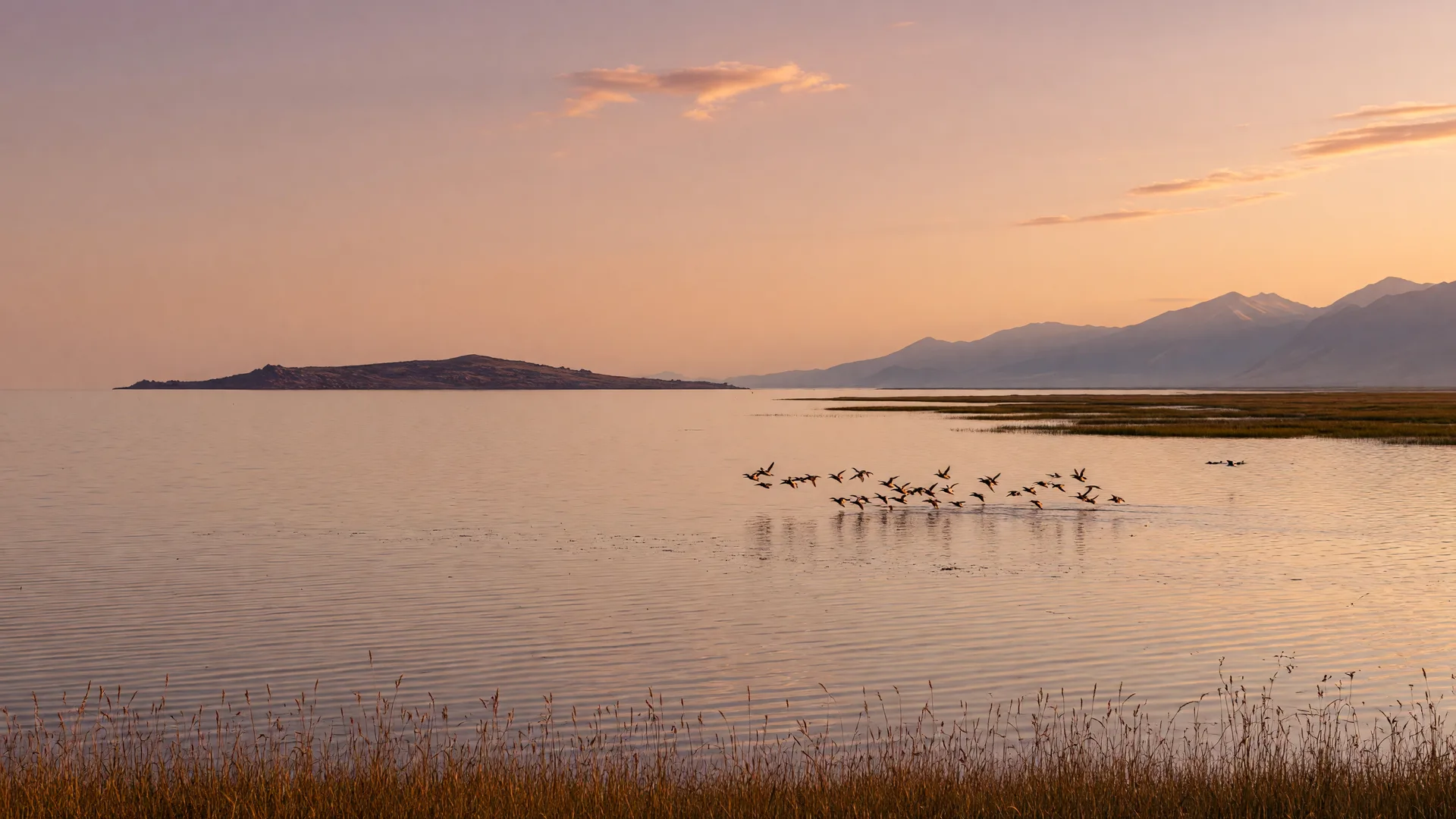 Why Are 3.26 Billion Gallons of Water Heading to the Great Salt Lake Right Now?