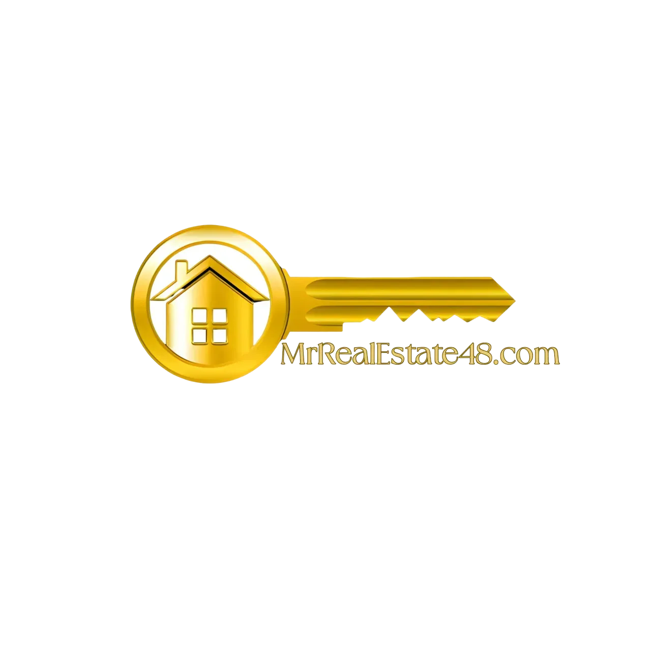Mr Real Estate logo