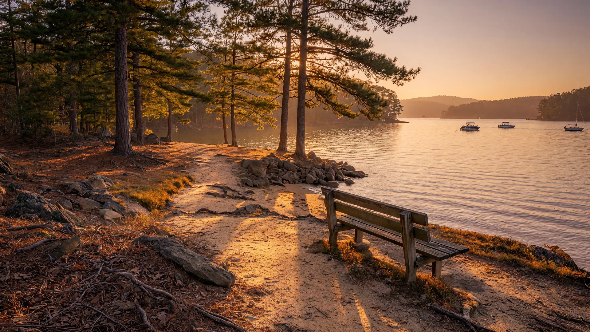 The tree-lined Lake Hartwell shoreline at late golden afternoon with a wooden bench near the water