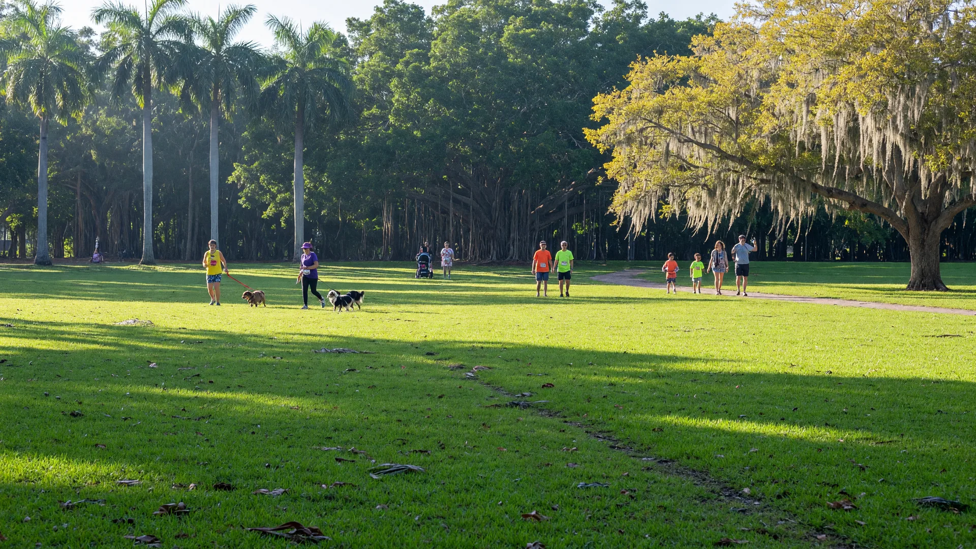 Header image for "Get Wild! Fun Run at TY Park Raises a Cheer for Rescued Animals"