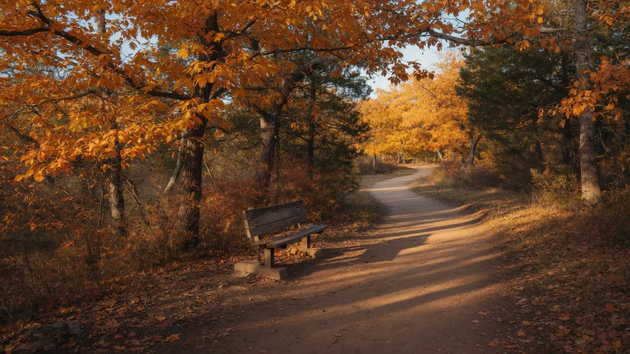 A golden autumn walking trail with a wooden bench in a park at late afternoon
