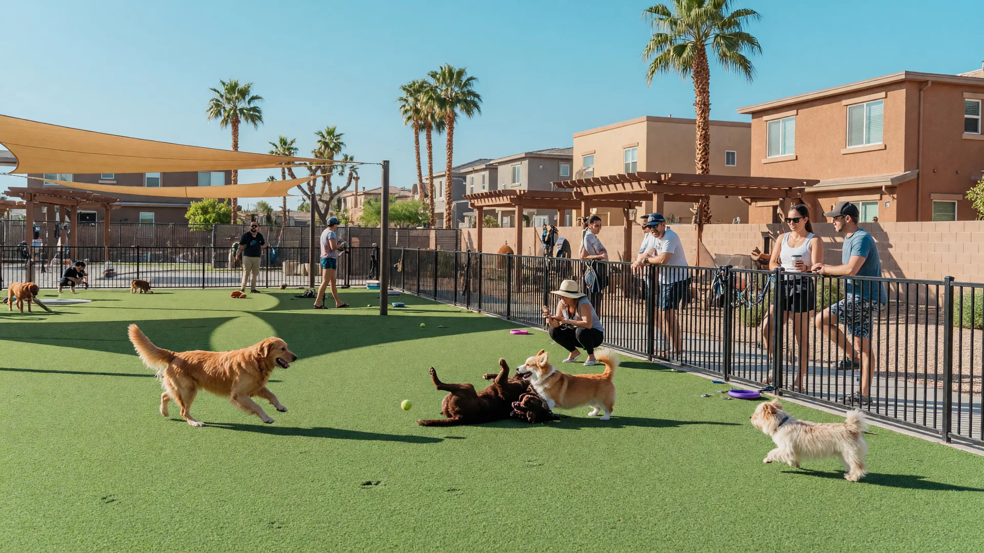 Summerlin's Latest Dog-Friendly Amenities, Events & Resident Stories (2025 Update)