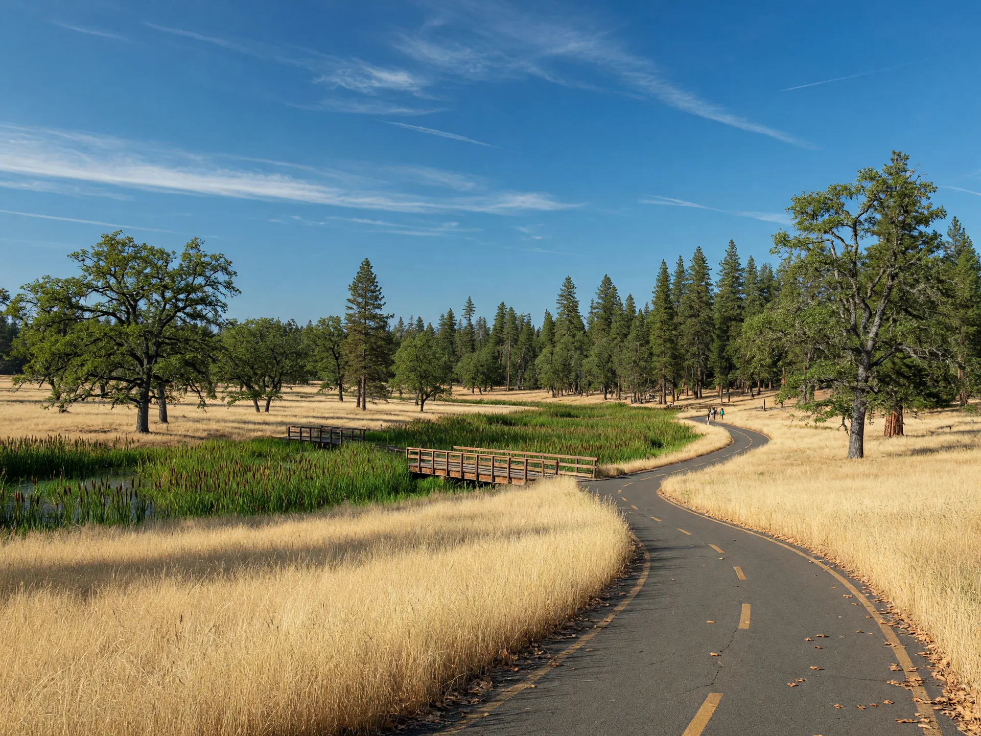 A paved trail winding through the oak savanna and wetlands of Graham Oaks Nature Park in Wilsonville