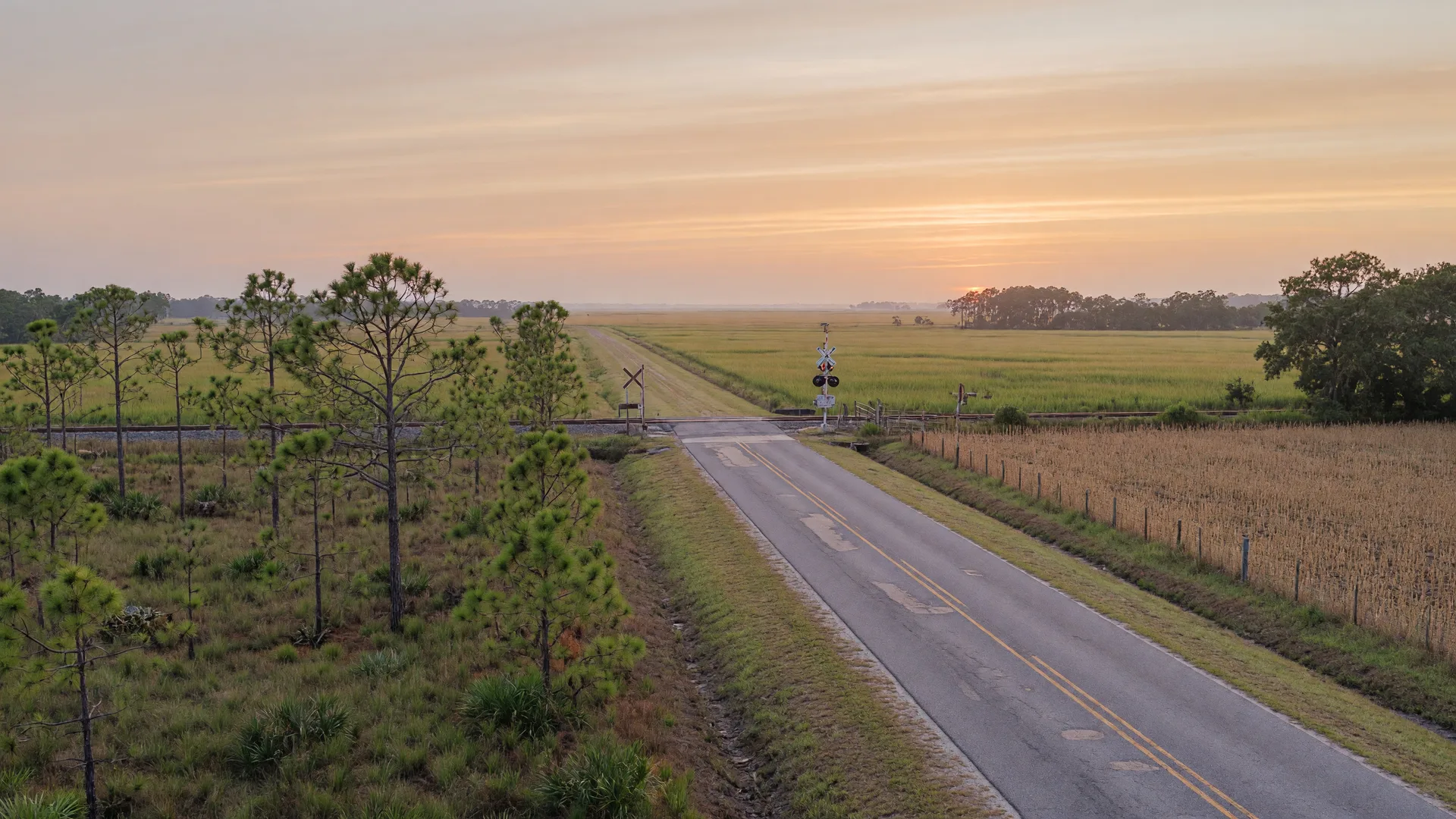 Two-lane country road through pine flats in coastal Bryan County, Georgia