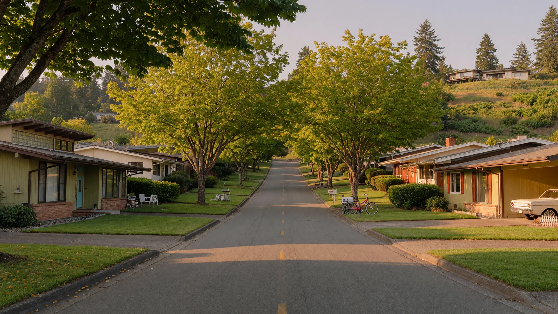 A mid-century street with low-slung 1960s homes under a leafy tree canopy on a golden afternoon