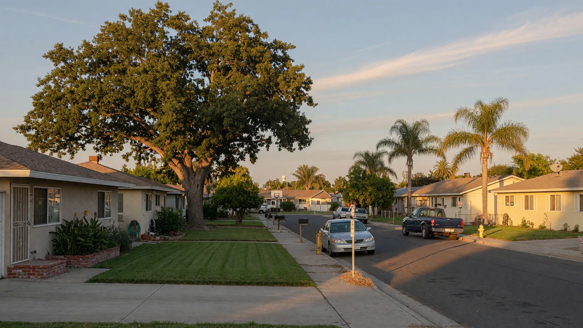A quiet residential street in Merced County with ranch-style homes, mature trees, and late-afternoon light