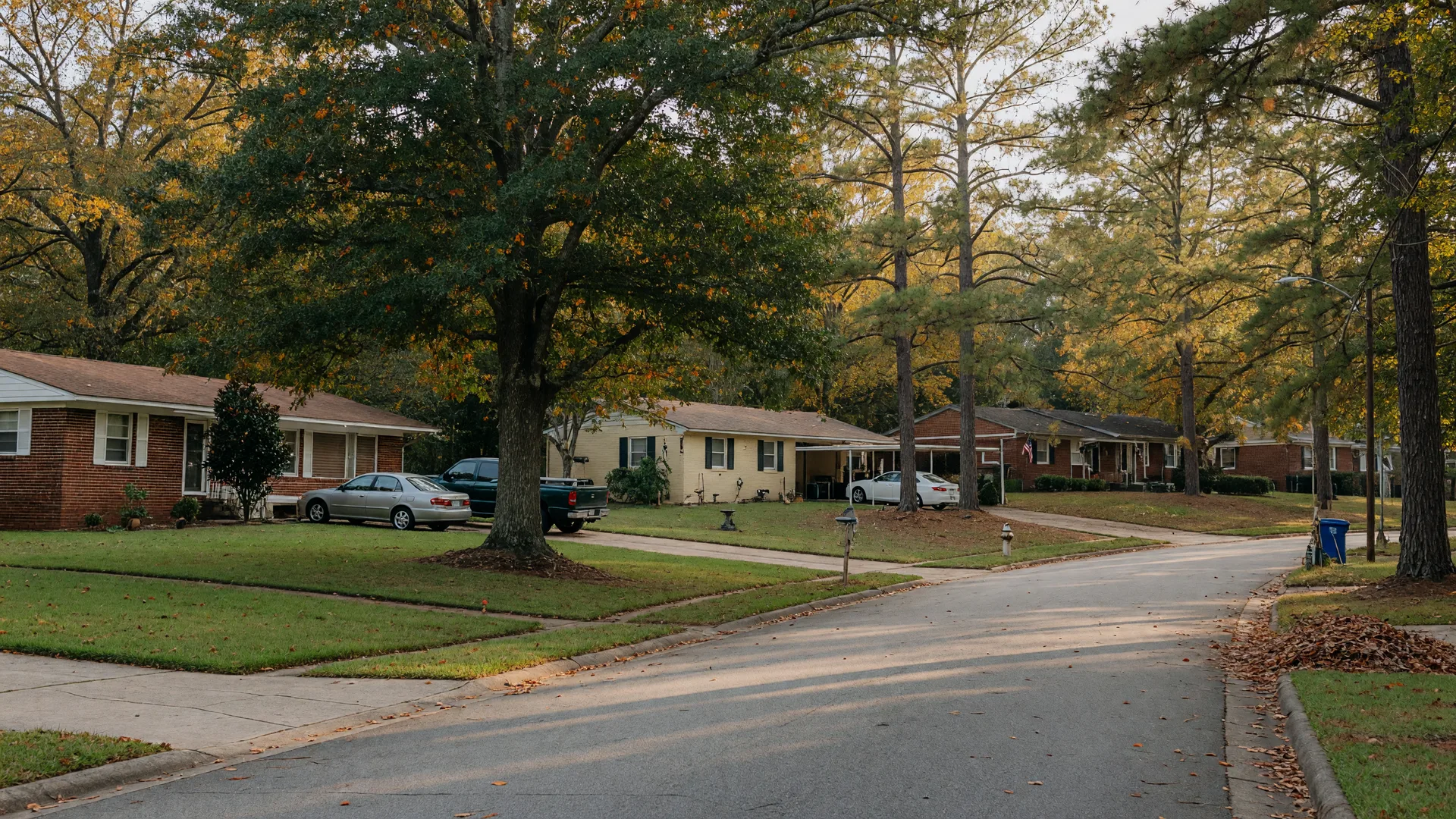 A quiet tree-lined street in the St. Andrews area of Columbia, SC