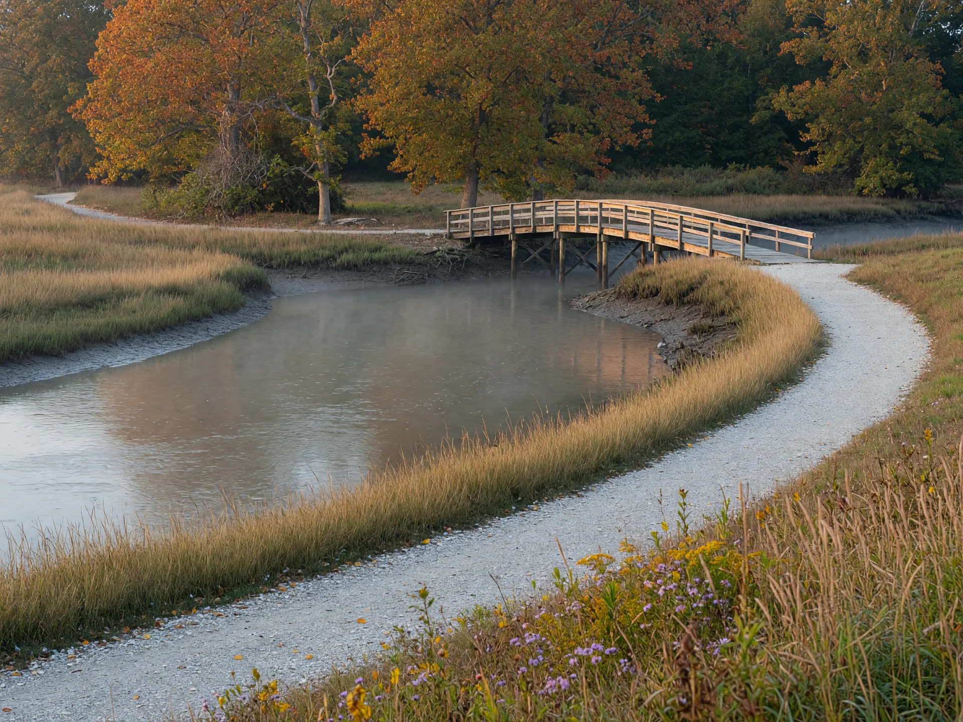 A gravel park trail running beside a wide tidal creek in early October, with tall grasses in the foreground and autumn color on the far bank